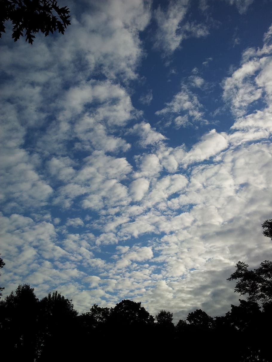 sky, clouds, blue, cloudscape, air, heaven, heavens, environment HD wallpaper