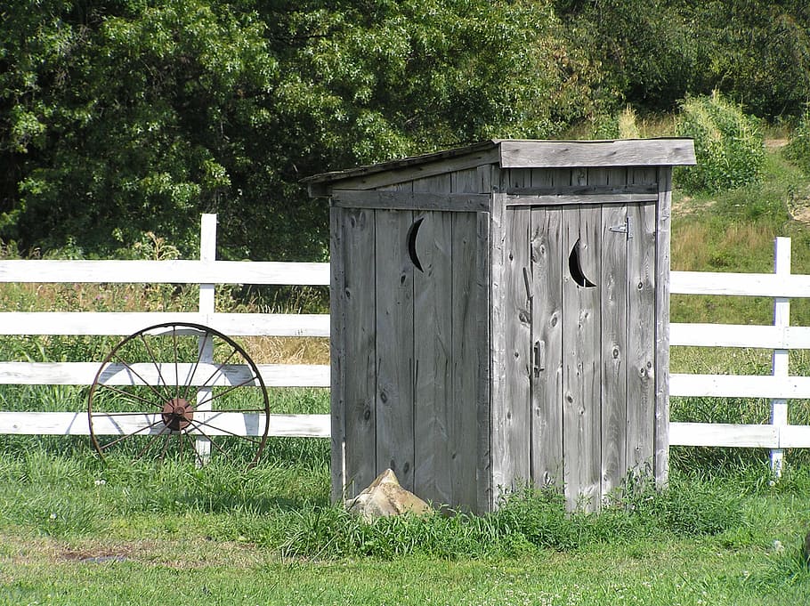 outhouse, rural, rustic, plant, grass, field, day, green color HD wallpaper
