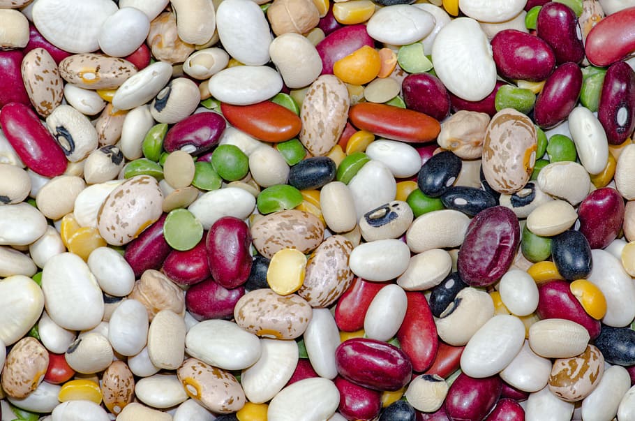 macro shot of assorted seeds, bean, kidney, white, pea, soup