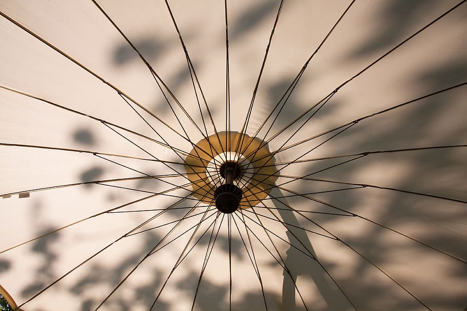 parasol, screen, sun, summer, shade tree, sunlight, stretched HD wallpaper