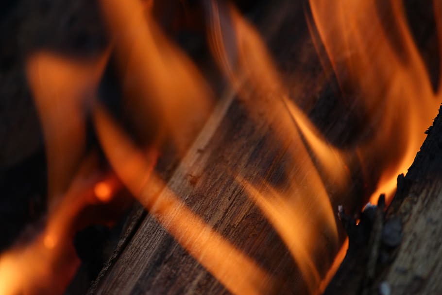 fire, campfire, flame, firewood, fever, bonfire, night, tree HD wallpaper