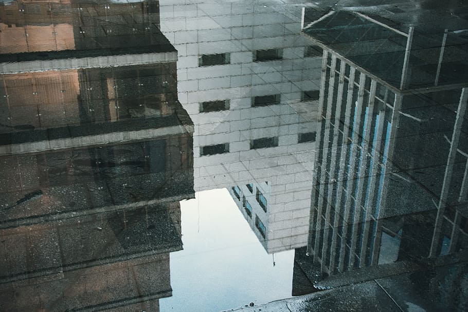 reflection of buildings in water on floor, black glass reflecting buildings during daytime HD wallpaper