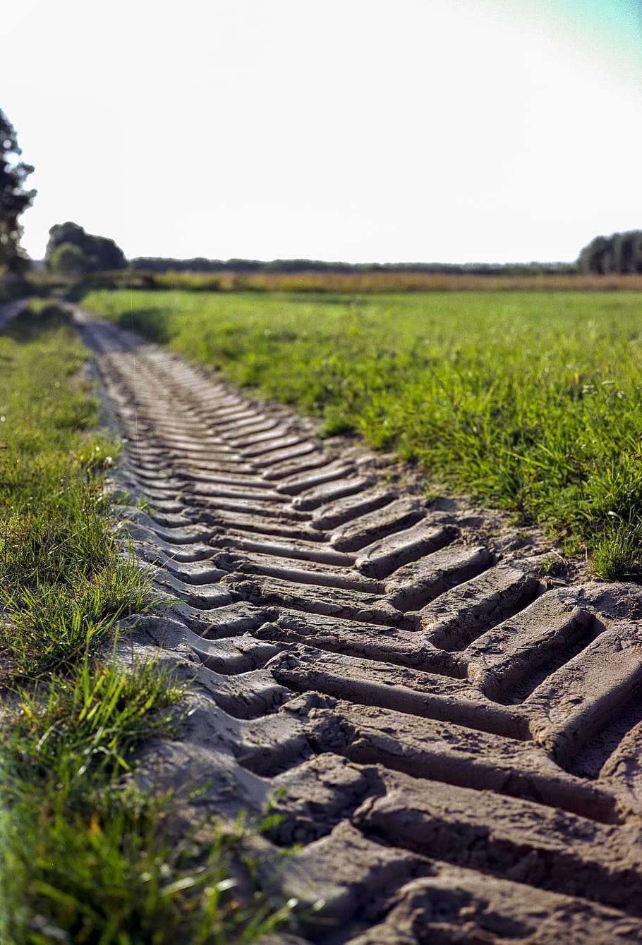 track of vehicle tire on wet soil surface, path, wheel, road, HD wallpaper