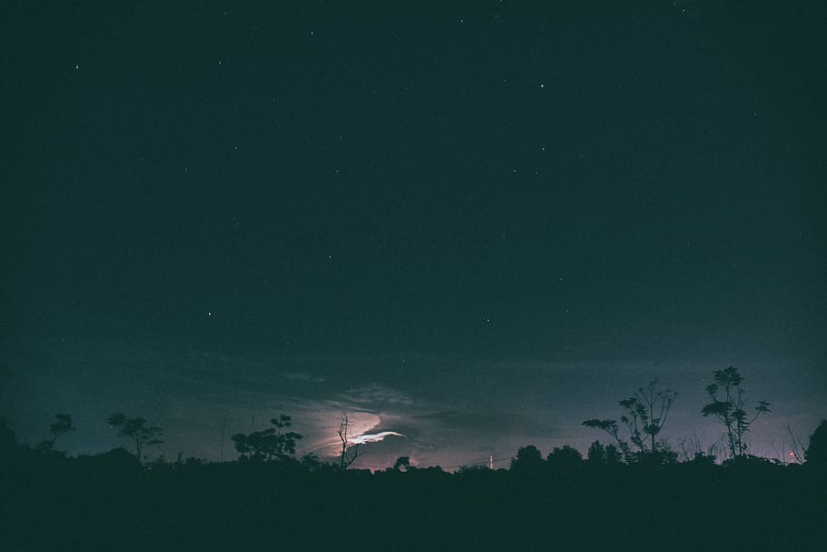 silhouette photo of trees with stars, dark, night, sky, clouds HD wallpaper