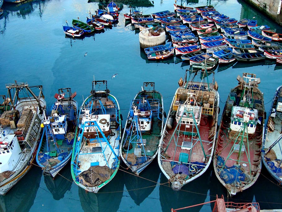 red and blue boats on body of water at daytime, Casablanca, Morocco, HD wallpaper