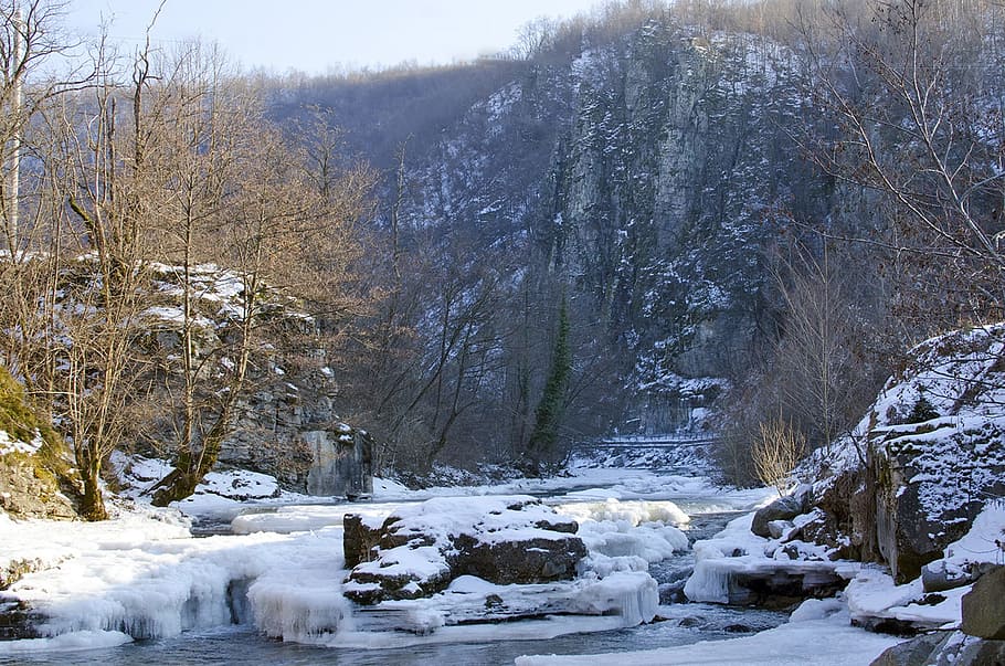 snow, winter, cold, ice, frost, nature, landscape, cold temperature HD wallpaper