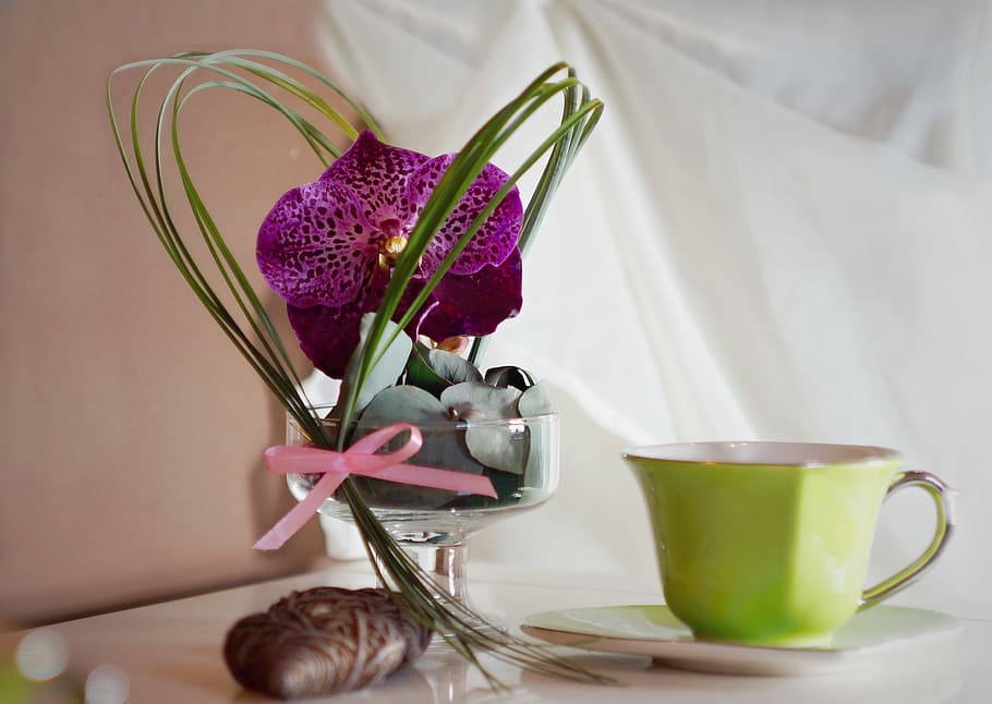 decoration, orchidea, cup, flower, retro, flowering plant, freshness HD wallpaper