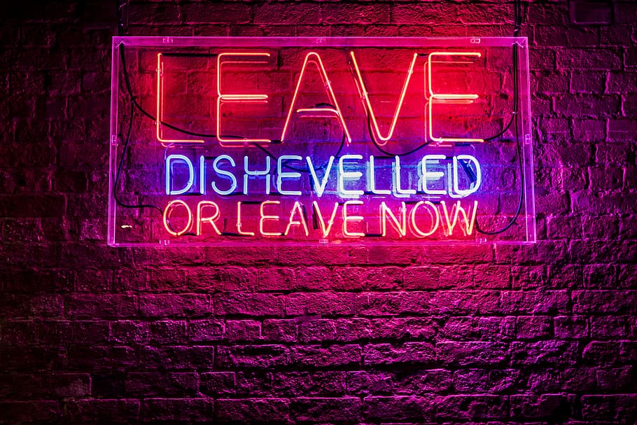 Leave Dishevelled neon signage, leave dishevelled or leave now neon signage