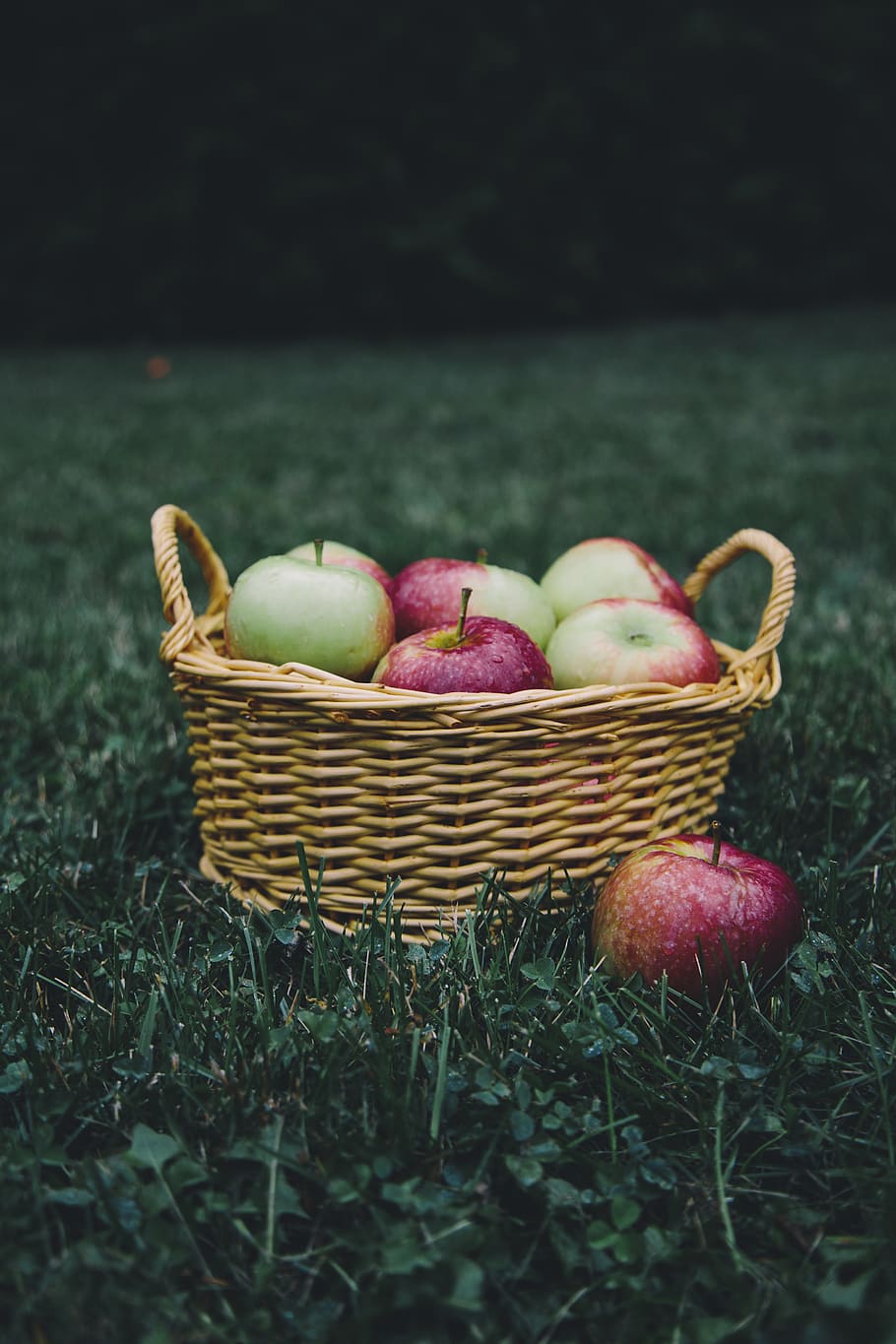 apple, apples, apple picking, basket, fruit, healthy, nature HD wallpaper