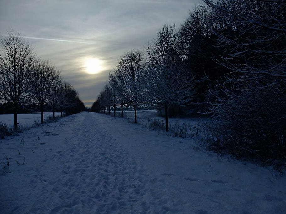 snow, wintry, back light, mystical, gloomy, abendstimmung, winter HD wallpaper
