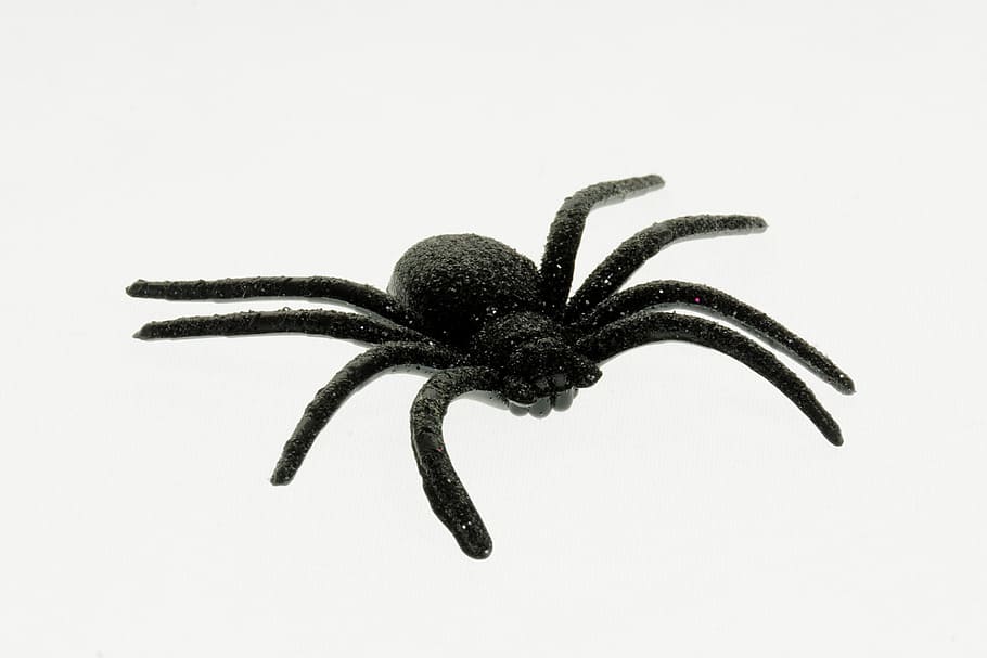 spider, deco, halloween, decoration, shock, scare, fear, panic HD wallpaper