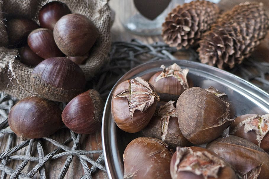autumn, chestnuts, castanea, dining table, bag, dish, appetizer HD wallpaper