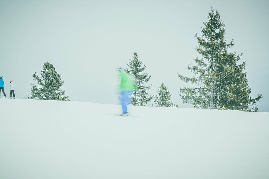 person standing on snow field, winter, mountain, tree, plant HD wallpaper