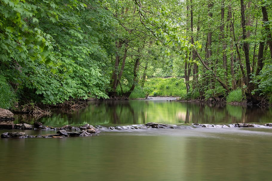 landscape photography of body of water, river, trees, bank HD wallpaper