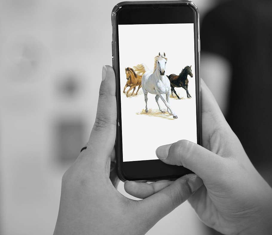 selective color photography of space gray iPhone 6 showing three horse running HD wallpaper
