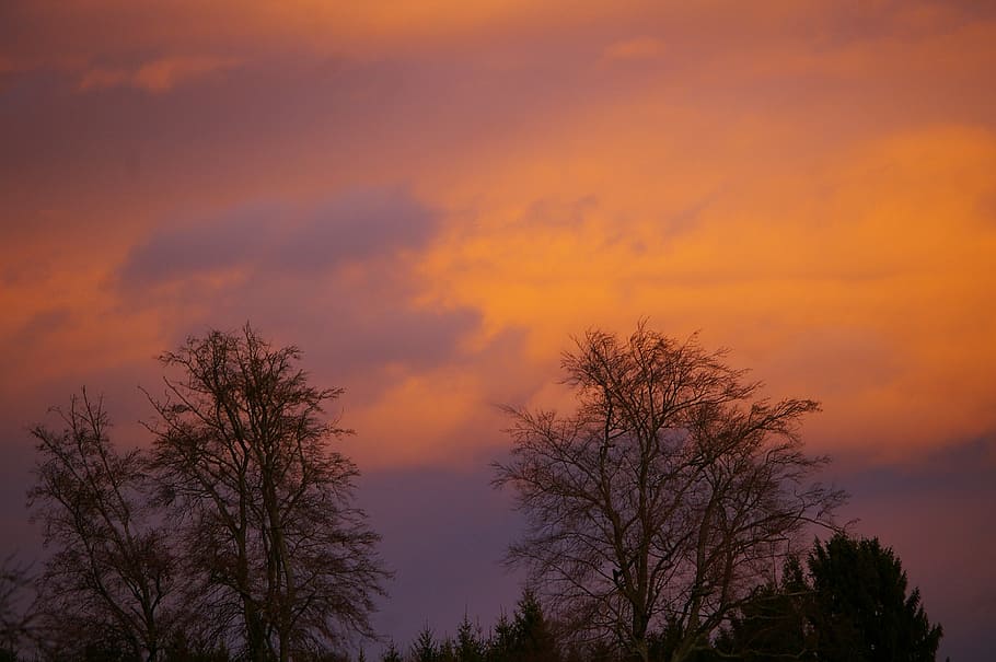 austria, morning, sky, clouds, trees, nature, outside, silhouette HD wallpaper