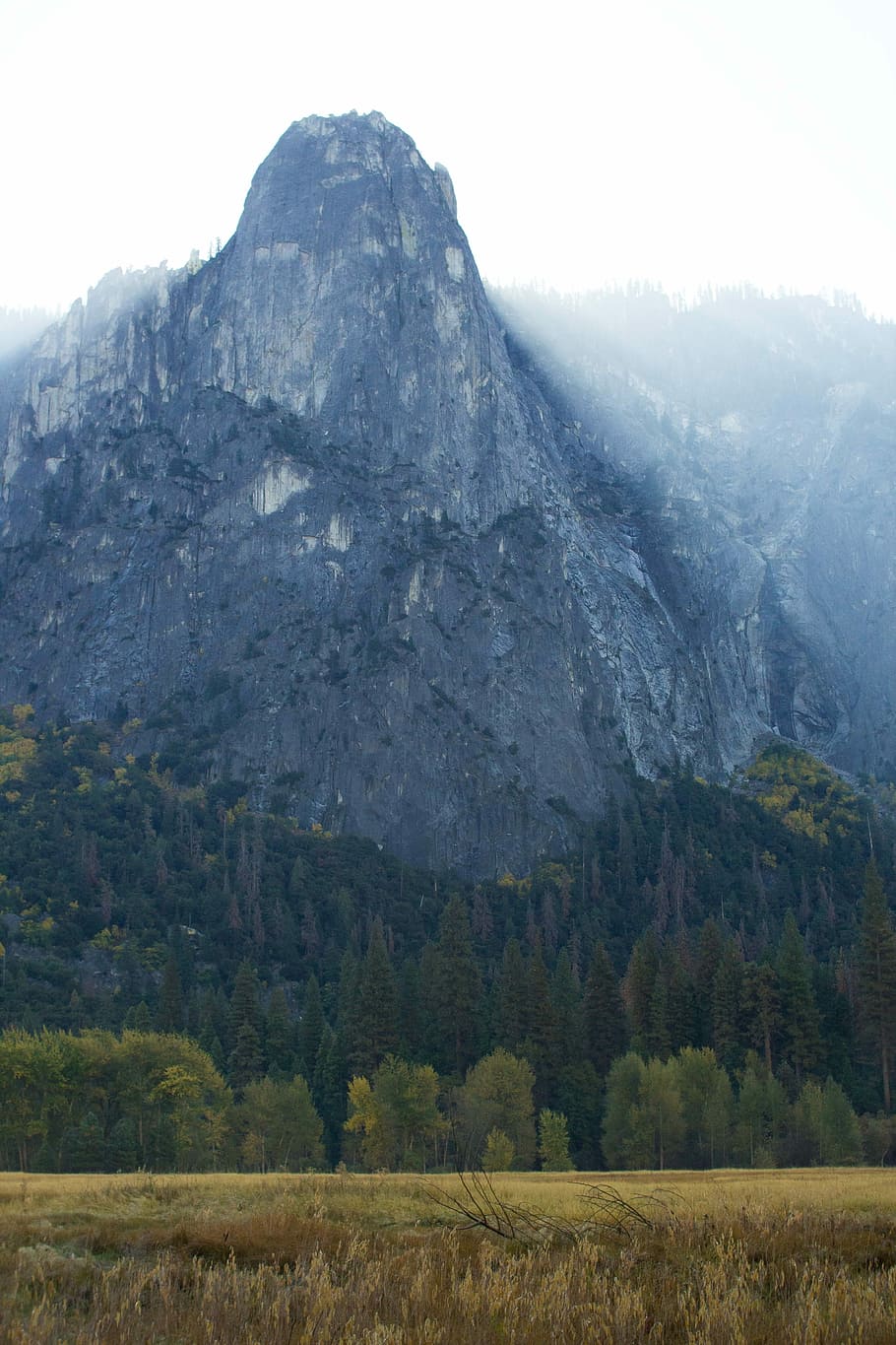 Yosemite, Mist, Field, mountain, nature, landscape, scenics HD wallpaper