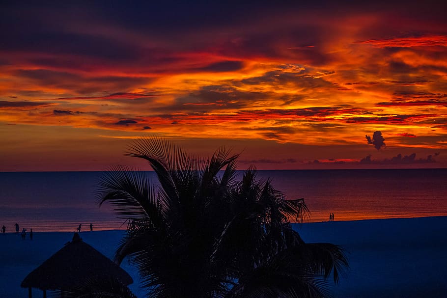 beach during sunset, silhouette of hut and coconut trees by the beach during golden hour HD wallpaper