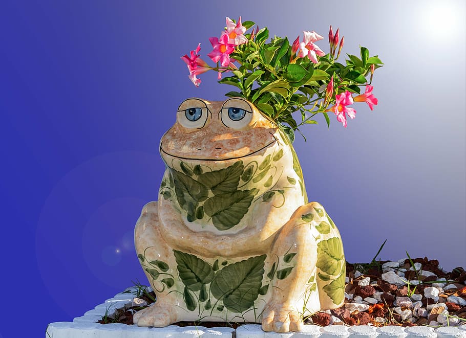 toad, porcelain, planter, flowers, garden, nature, one animal HD wallpaper