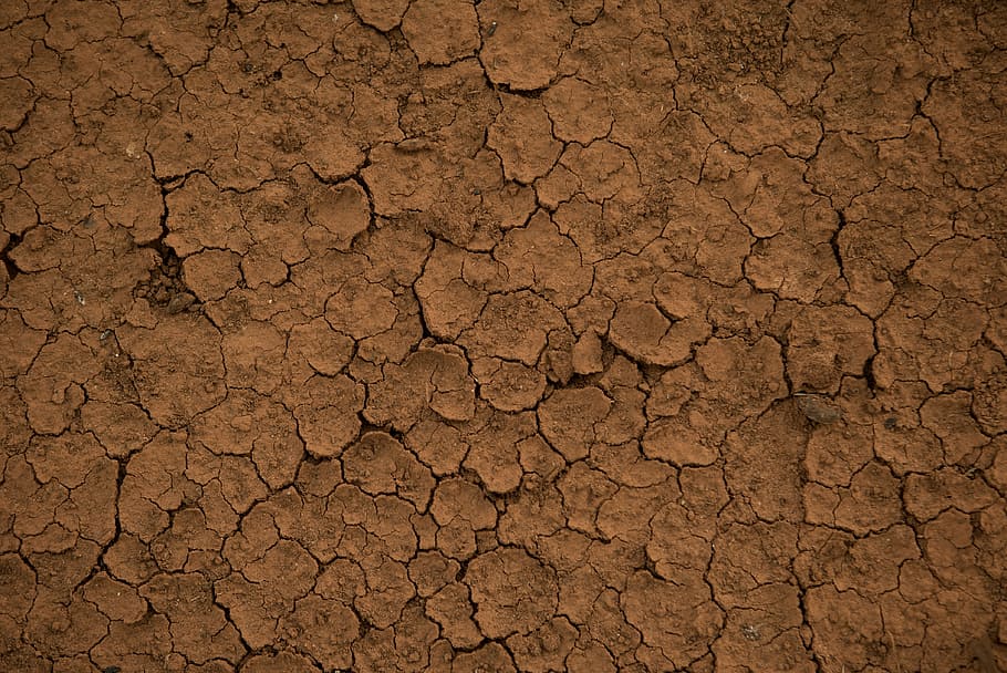 brown dried soil, earth, texture, mud, arid, dry, field, nature