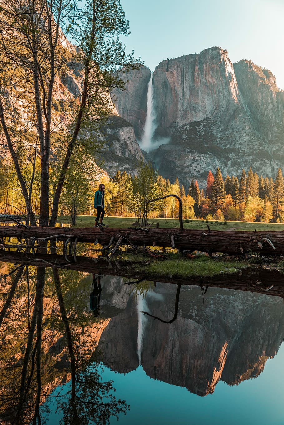 person walking near body of water, person walking on top of fallen tree during daytime HD wallpaper