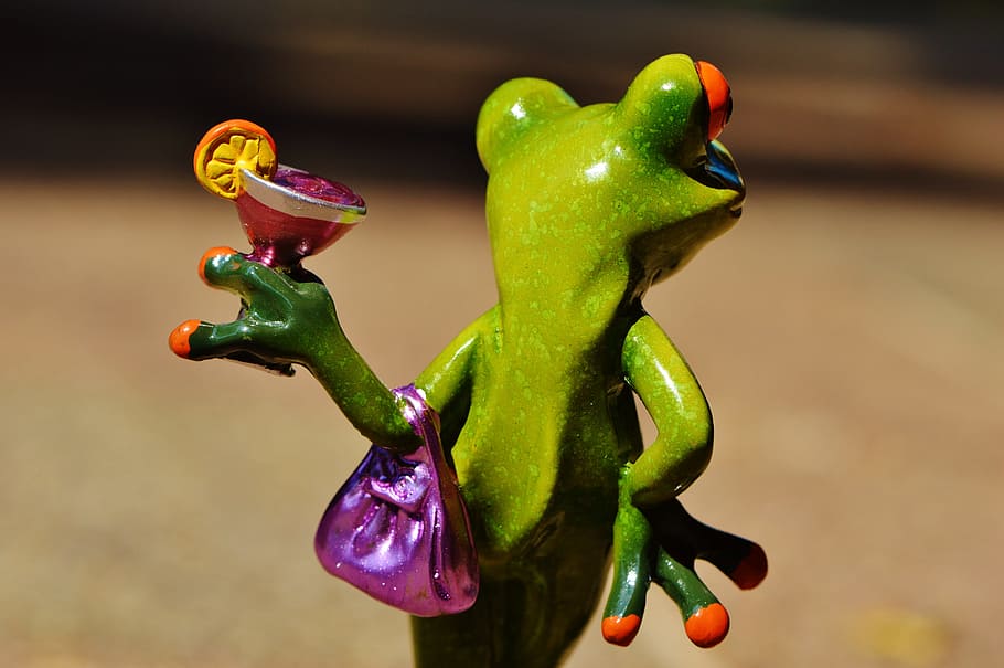 Frog, Arrogant, Cocktail, chick, lady, funny, close-up, no people HD wallpaper