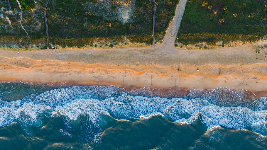 painting of beach, ocean, near, forest, sea, water, waves, coast HD wallpaper