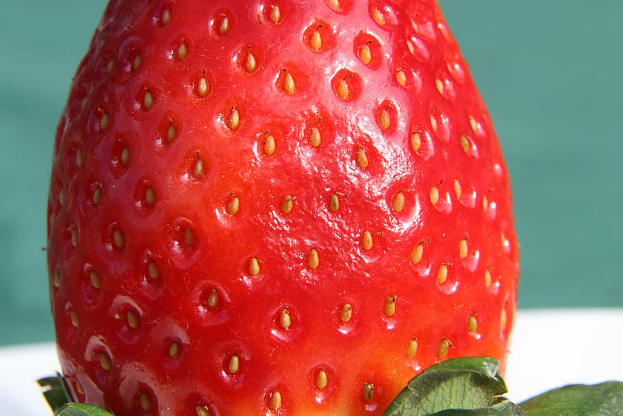 strawberry, fruit, red, sweet, delicious, food, eat, freshness HD wallpaper