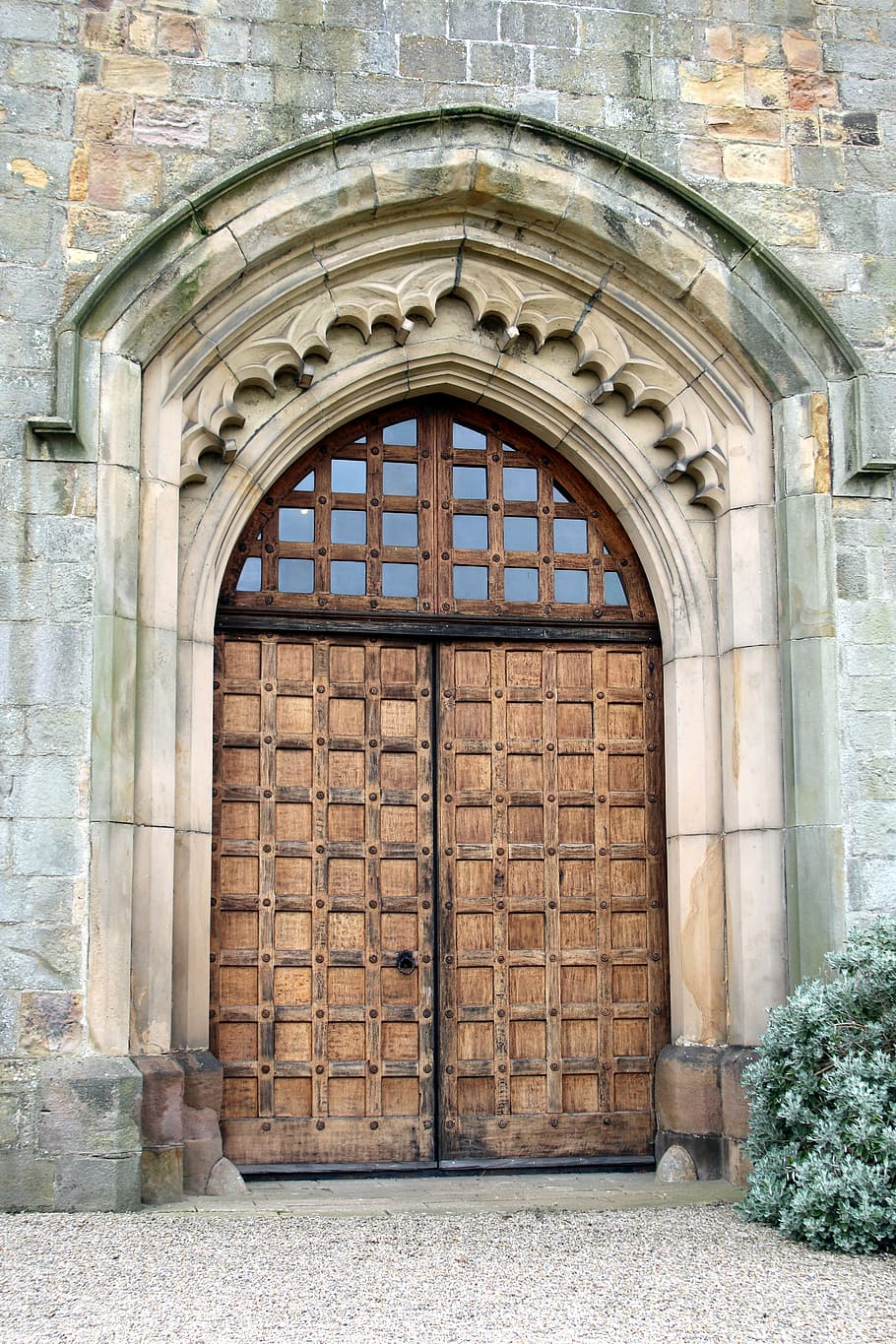 brown wooden panel door near green plant, castle, walls, gatehouse