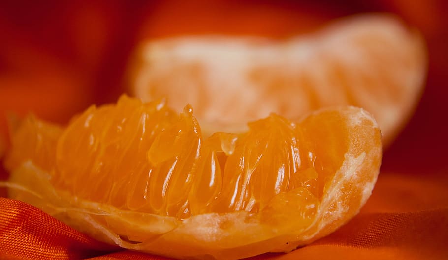 orange, slice, citrus, fruit, healthy, fresh, food, vitamin HD wallpaper