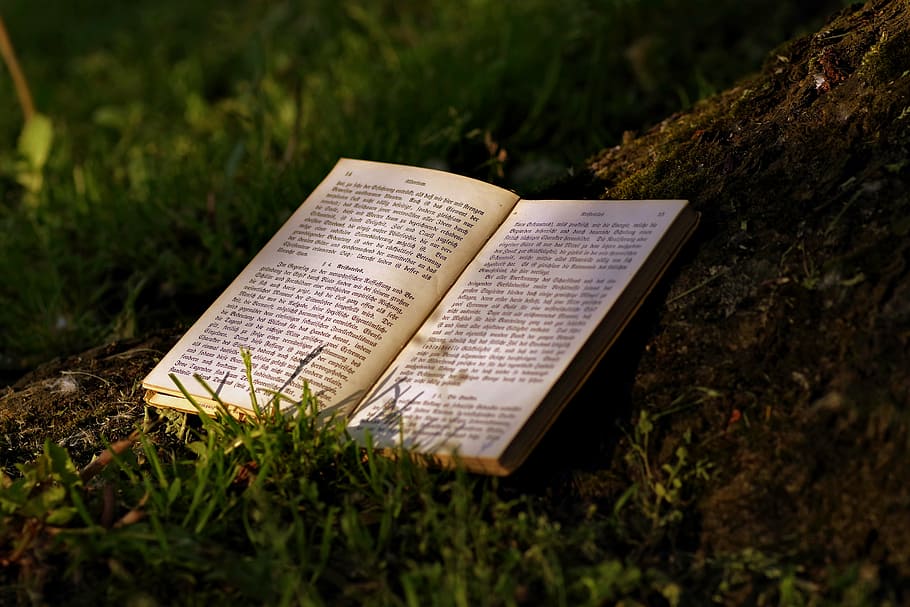 opened book on grasses during daytime, read, park, old, writing, HD wallpaper