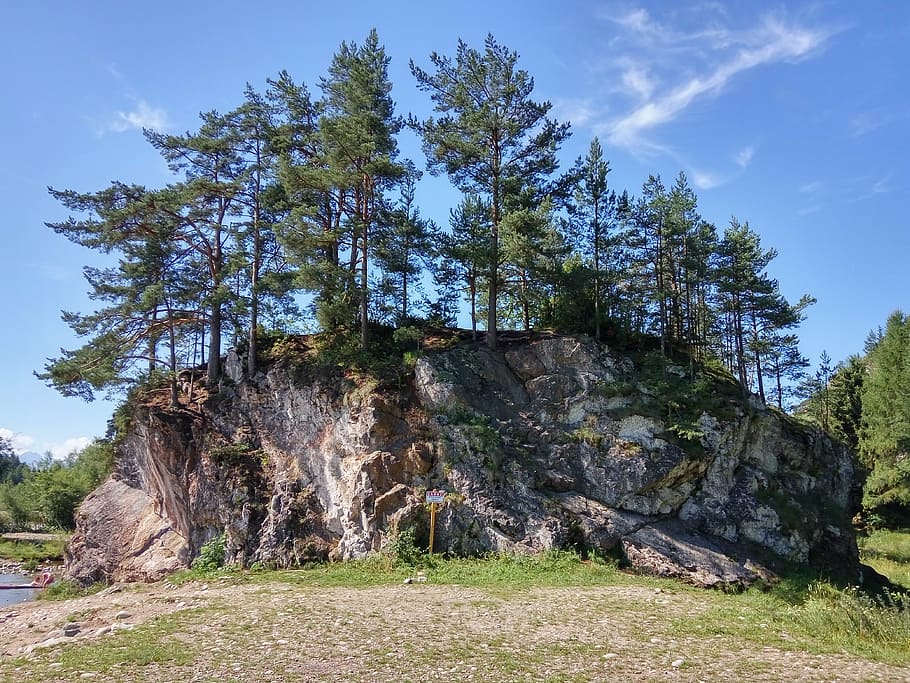 rock, tree, nature, landscape, outdoor, plant, sky, tranquility HD wallpaper