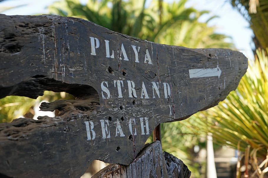 Shield, Note, Sign, Directory, Beach, direction, text, communication HD wallpaper