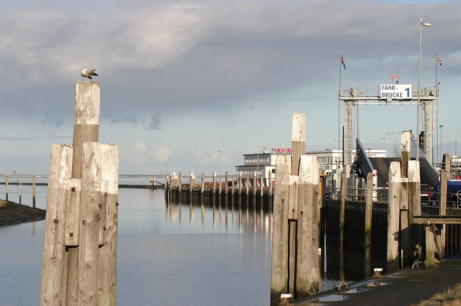 norderney, port, wooden planks, mirroring, fährbrücke, water, HD wallpaper