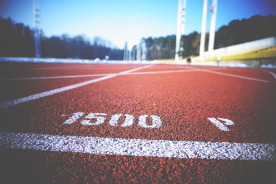 1500 P painted on track field, running, fast, race, lane, outdoors HD wallpaper