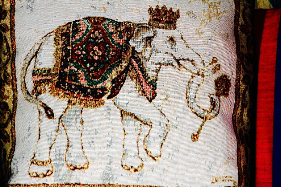 Fabric, Elephant, Pattern, Printed, Tusk, printed on, t shirt HD wallpaper