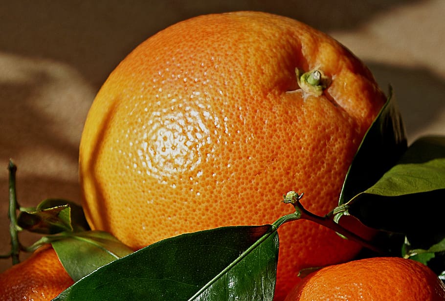closeup photo of orange fruit, mandarins, oranges, nature, porosity HD wallpaper