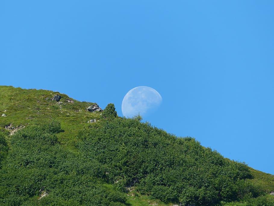 day, moon, sky, night, nature, mood, light, hell, opposites