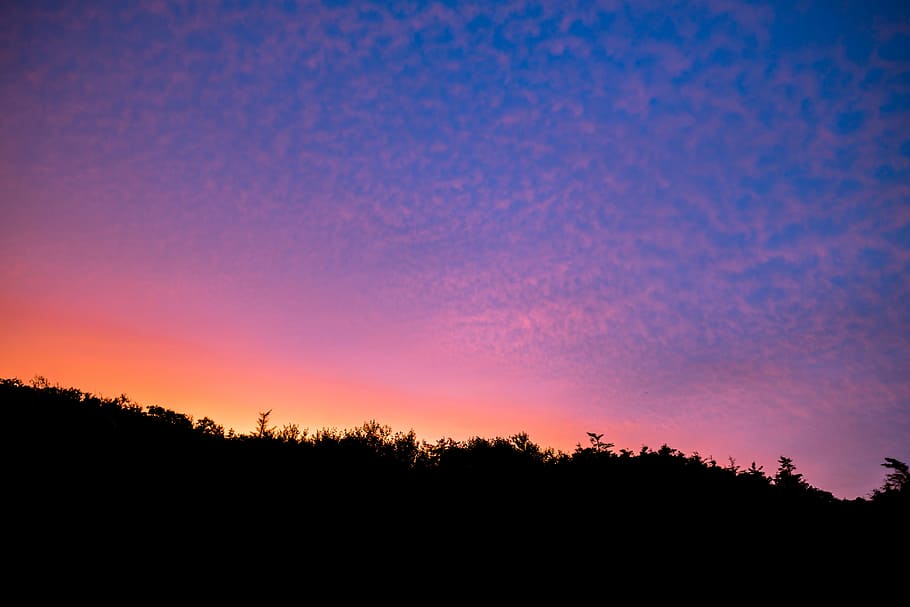 silhouette of mountain during golden hour, silhouette of trees under sunset sky HD wallpaper