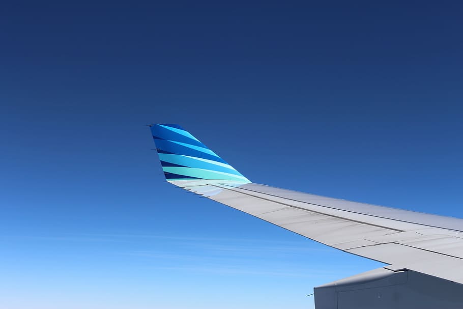 blue and white airplane wing, Flying, Sky, airplanes, clear sky HD wallpaper