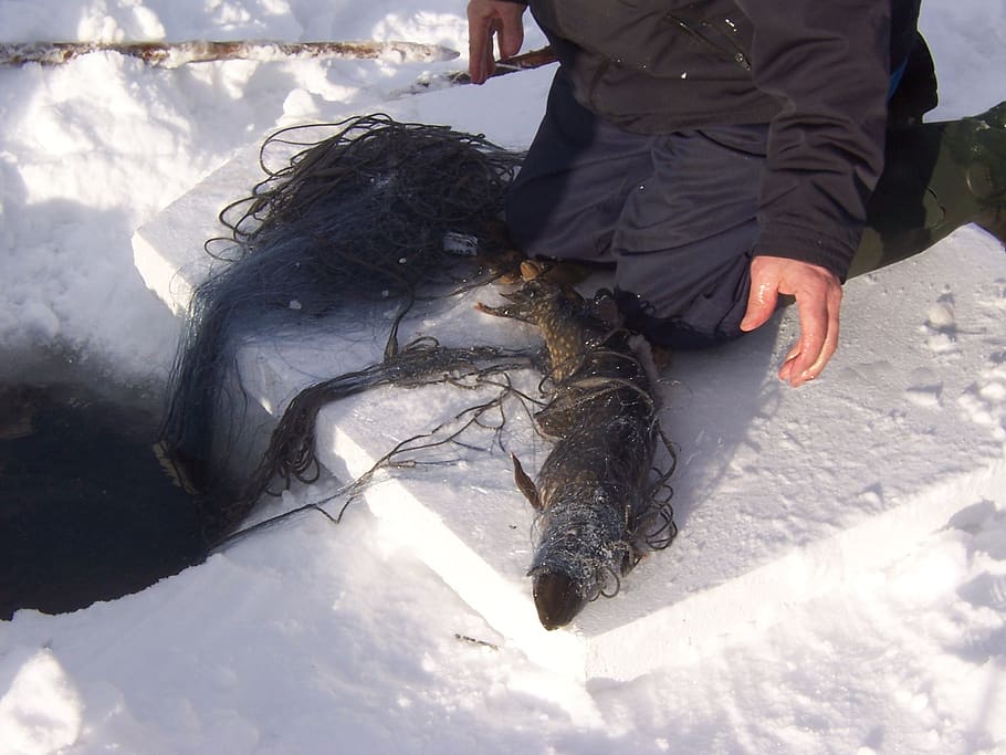 HD wallpaper: winter, fishing, network, net fishing, pike, hole in the ice