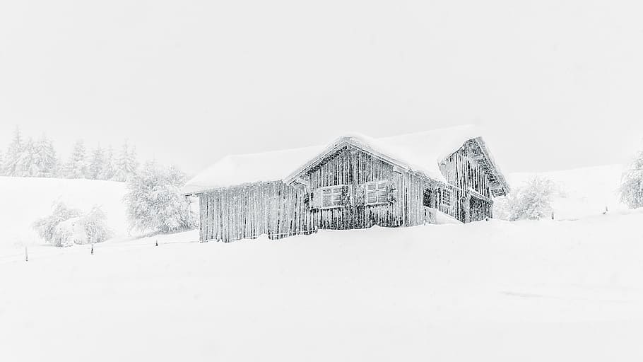 house covered with snow during a snow storm, snow-covered house HD wallpaper