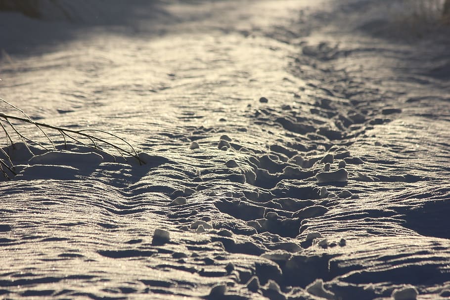 the path, winter, snow, landscape, snowy, selective focus, no people HD wallpaper