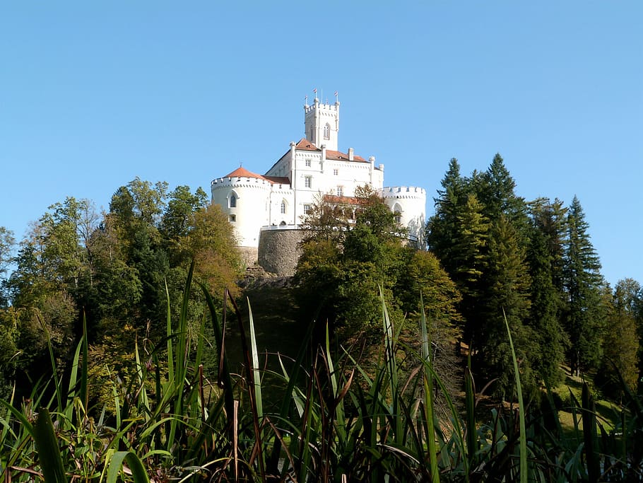 Landscape, Castle, Architecture, medieval, fortress, tree, clear sky HD wallpaper