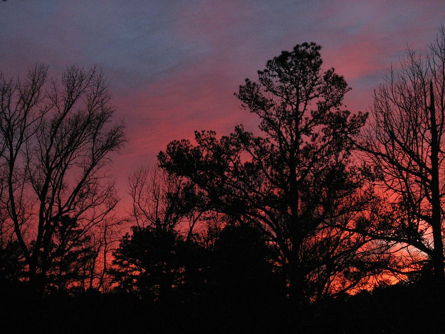 sunset, afterglow, landscapes, light, sky, texas, tree, silhouette HD wallpaper