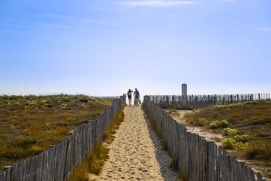 people, walking, beach, path, dunes, person, man, group, walking people HD wallpaper