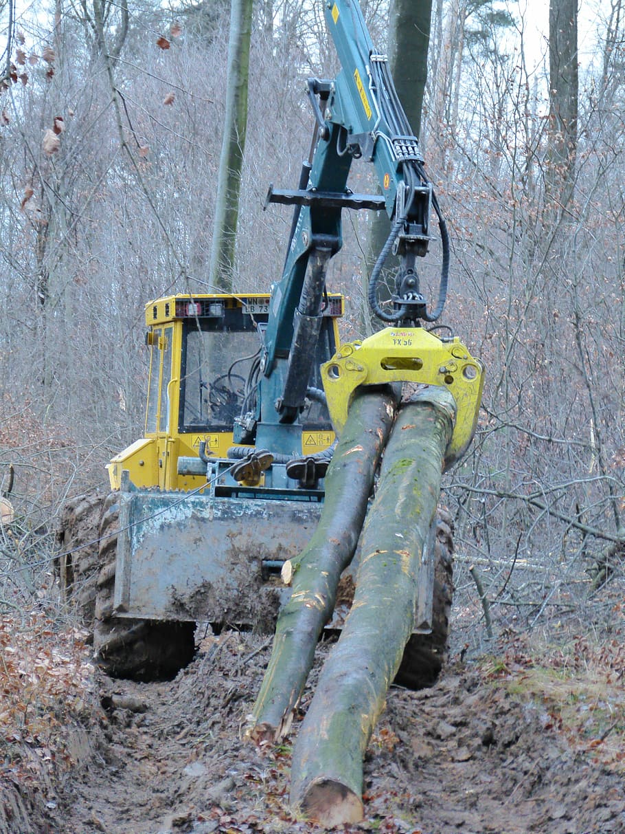 forest, tree, work, forest work, forest workers, log, vehicle HD wallpaper
