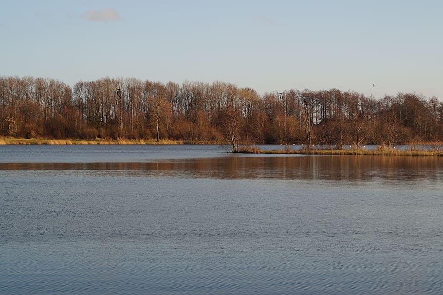 Stretch, Lake, Water, Clouds, Trees, reflection, nature, tranquility HD wallpaper