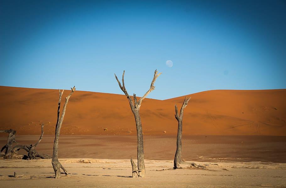 namibia, outdoors, landscape, travel, africa, climate, etosha HD wallpaper