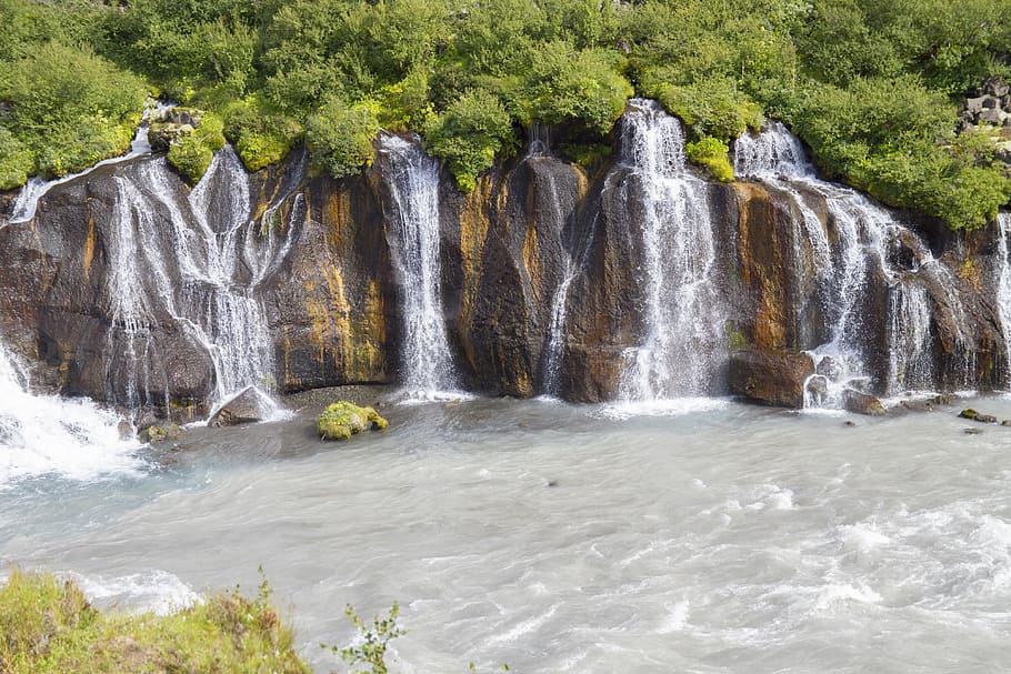water falls, iceland, waterfall, hraunfossar, tree, beauty in nature HD wallpaper